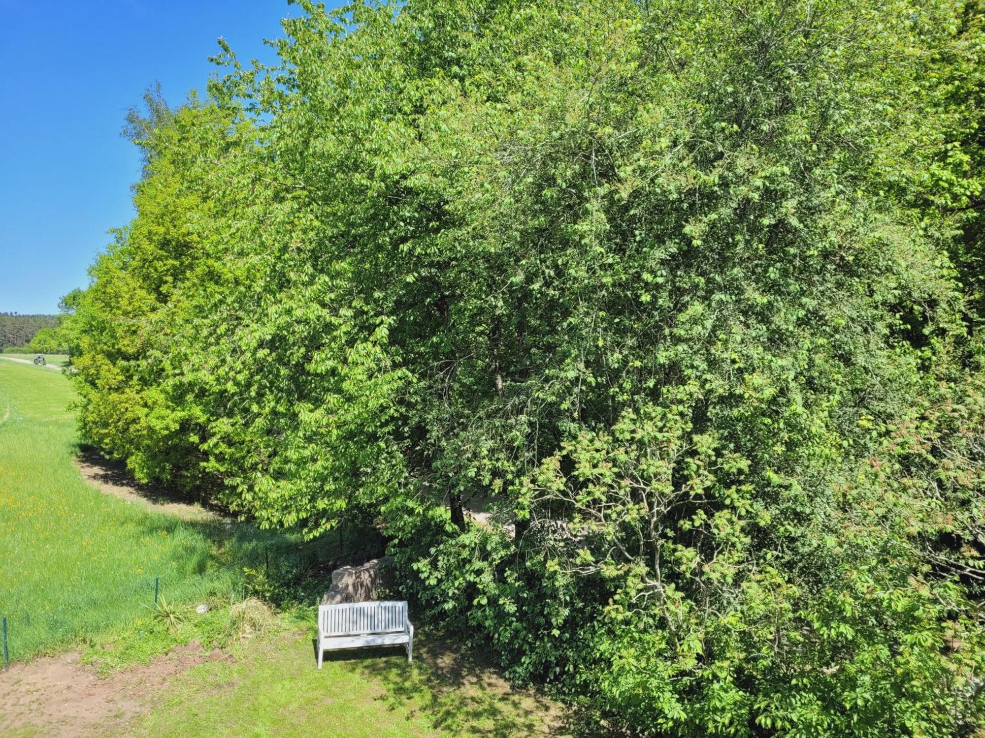 Meingaestehaus Im Fraenkischen Seenland *